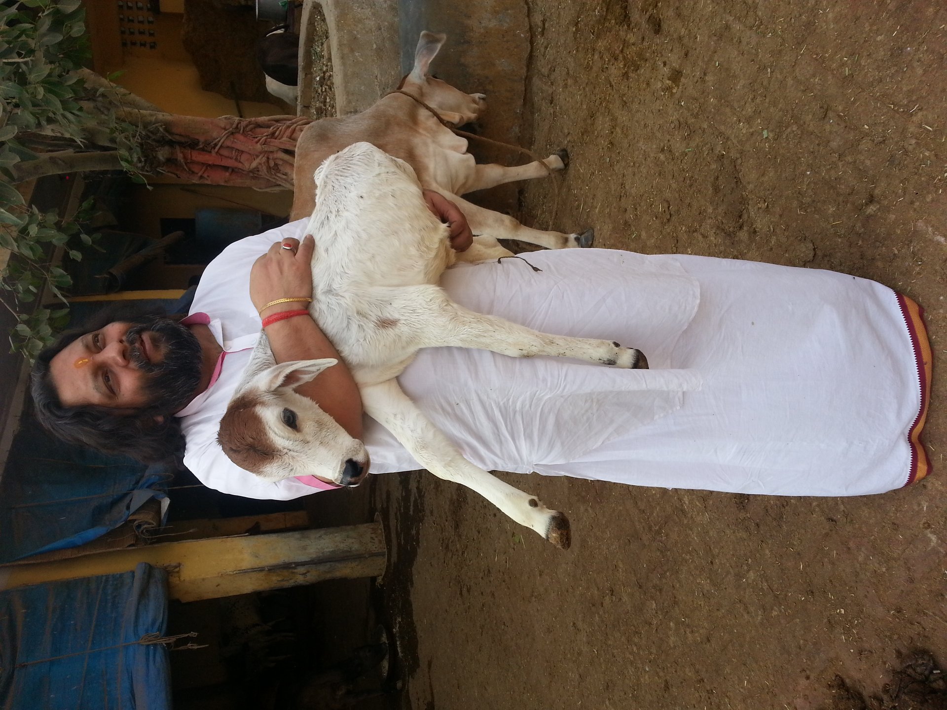 गौशाला सेवा